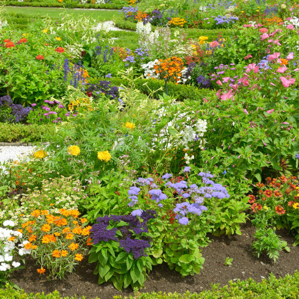 istock Blossoming flowerbed in the park 2138851923