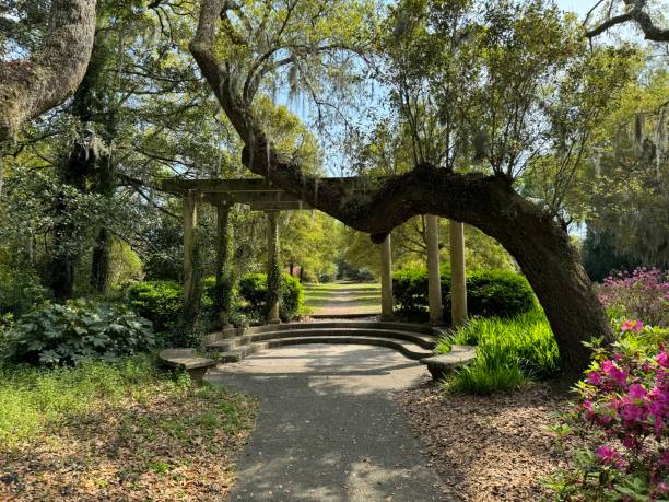 istock Path through a garden to a distant building with purple blooms 2138865994
