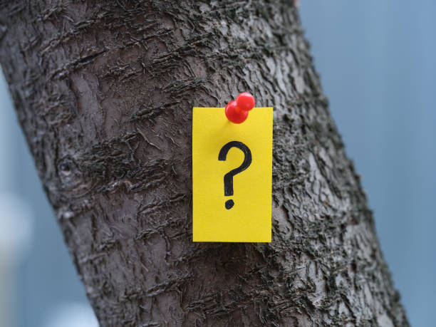 istock A yellow paper note with a question mark on it pinned to a tree 2138867458