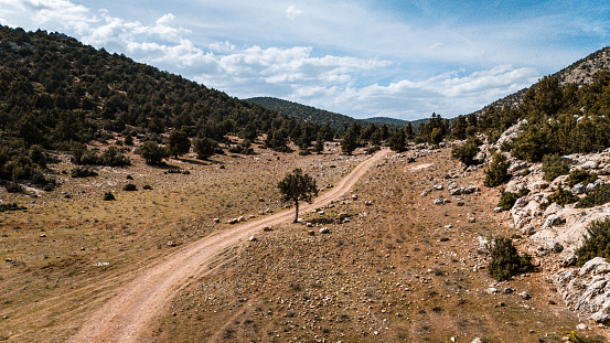 Forest area mediterranean region.Nature landscape.Mountainous area. Lonely tree on the side of the dirt road.Drone shooting.