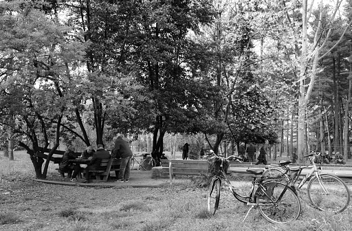 Legnano, Italy - April 04, 2024: men play cards in a park