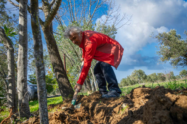 istock The man is planting trees in his garden. 2138894147