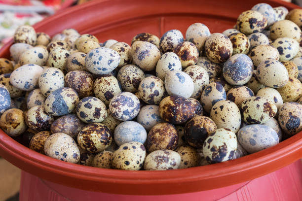Bukhara, Uzbekistan, Central Asia. Eggs for sale at a market in Bukhara.