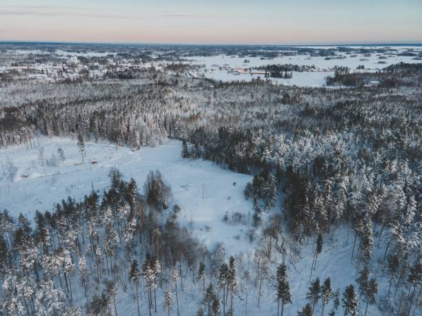istock Winter Snow Landscape in Sweden by Drone 2138914980