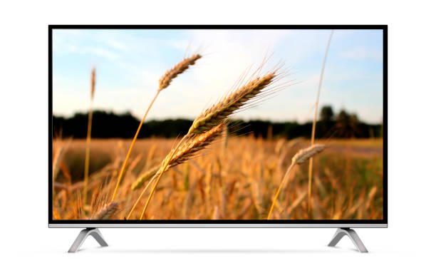 istock Smart tv with wheat field on screen 2138938387