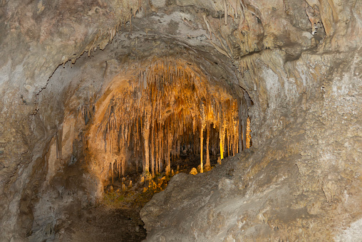 In the Big Room, a giant underground chamber in New Mexico’s Carlsbad Caverns National Park, the entrance to the Doll’s Theatre features fragile soda straw stalactite formations.