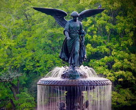 Angel of the Waters Central Park and pigeon