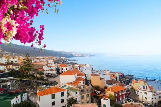 istock Candelaria town in Tenerife, Spain 2139012323