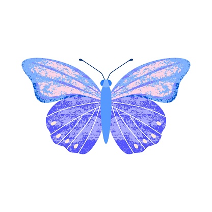 Blue-violet butterfly with trendy decorative textures close-up in vintage retro style, top view. Cute vector illustration on white isolated background in flat style.