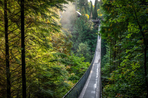 istock Capilano Suspension Bridge Park, North Vancouver, British Columbia, Canada 2139188516