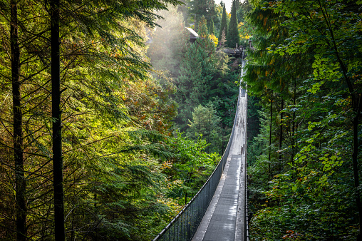 Capilano Suspension Bridge Park, a popular tourist attraction where tourists walk over river and through rainforest canopy, North Vancouver, British Columbia, Canada (October 2021)