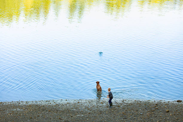 istock Boy throwing ball  for his dog to fetch. 2139272751