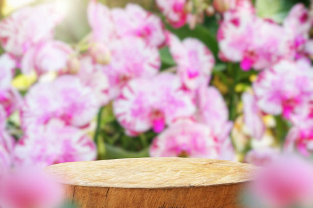 istock Empty old tree stump table top with blur orchid garden background for product display 2139291521