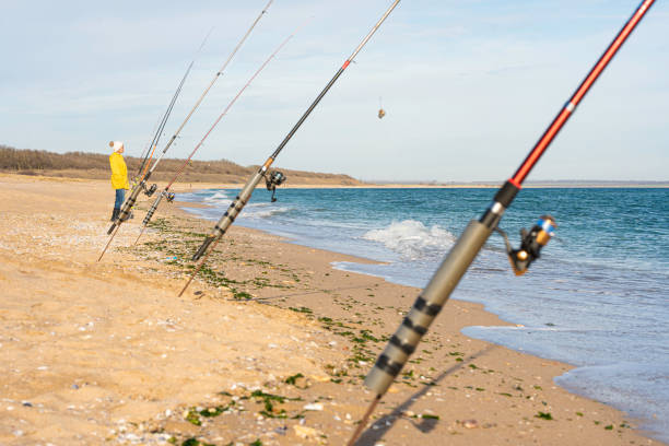 Angler fishing. Woman fishing using fishing pole and lure, organic aquaculture and saltwater fishing.