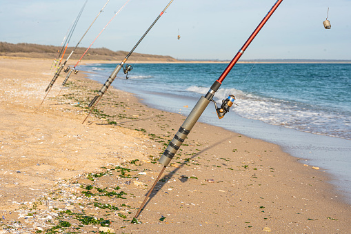 Angler fishing. Fishing rods, organic aquaculture & saltwater fishing.