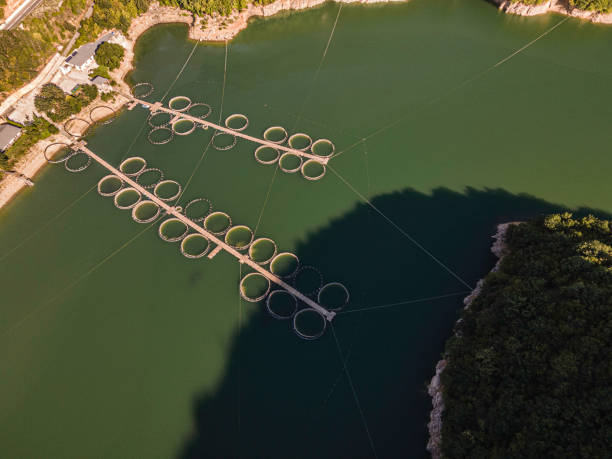 istock Large Fish Cage Aquaculture Farm, Aerial View. 2139292588