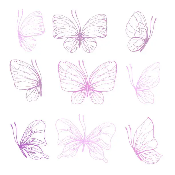 Vector illustration of Butterflies are pink, blue, lilac, flying, delicate line art, clip art. Graphic illustration hand drawn in pink, lilac ink. Set of isolated objects EPS vector.