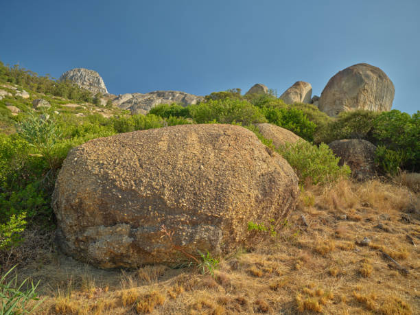 Free Stock Photo of Large Rock on Dirt Field | Download Free Images and ...