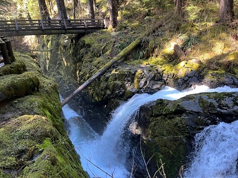 Triple SolDuc Falls with bridge in the background. Location is in the Olympic National Park, Washington state.