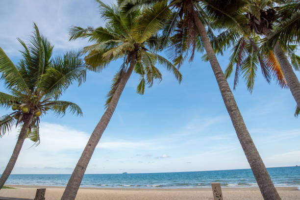 istock Beautiful nature sea summer background,Sand beach 2139567369