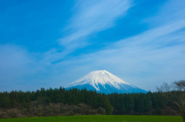 View of Asagiri Plateau with Mt. Fuji in spring.