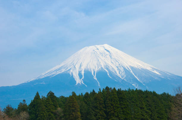 View of Asagiri Plateau with Mt. Fuji in spring.
