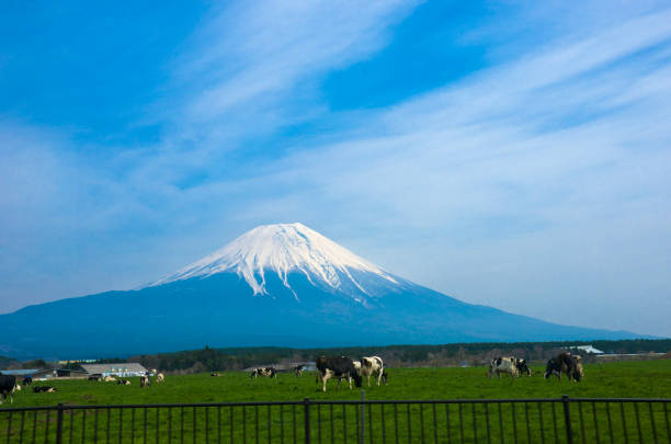 istock View of Asagiri Plateau with Mt. Fuji in spring. 2139608283