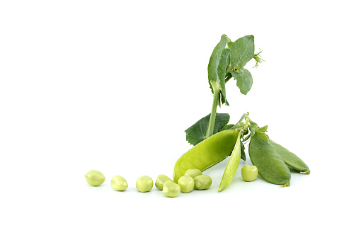 Fresh garden peas pods with green leaves isolated on a white background, sweet peas or English peas picked before full maturity