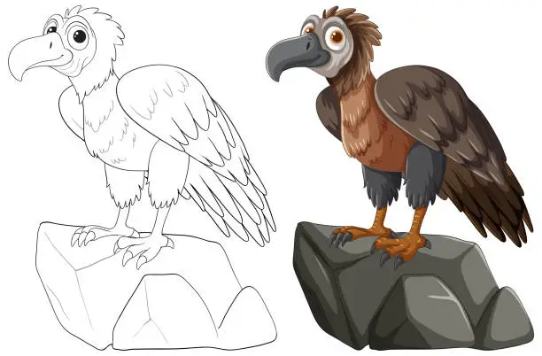 Vector illustration of Color and outline of a vulture perched on a rock