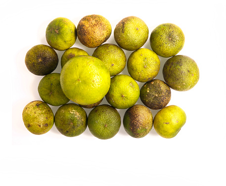 Organic lime fruits with discolored and uneven colours  due to no insecticides and chemicals used in growing Thailand Asia