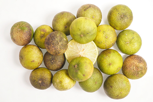 Organic lime fruits with discolored and uneven colours  due to no insecticides and chemicals used in growing Thailand Asia