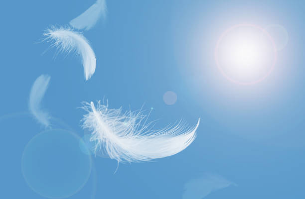 istock Abstract White Bird Feathers Floating in A Blue Sky. Softness of Feathers Falling in Heavenly. 2139721569