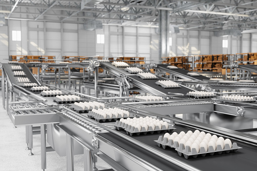 Close-up View Of Packaging Eggs On Production Line In Egg Factory