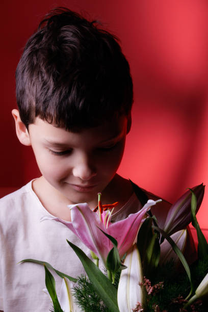 Cute smiling boy is smelling bunch of pink lilies, studio photography with side light and red background light.