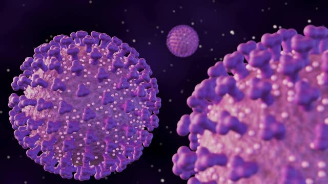 3d animation of Echovirus  or enteric cytopathic human orphan virus