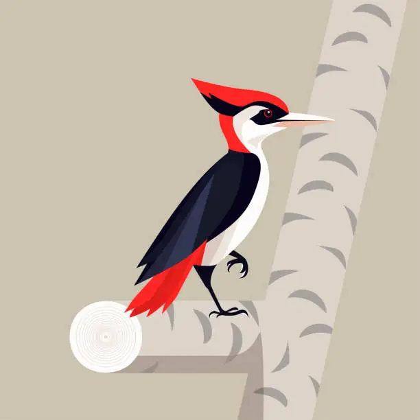 Vector illustration of A red-headed woodpecker standing on a tree branch, with a minimalist vector style.