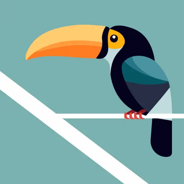 Vector illustration of Toucan perched on a tree branch in a minimalist vector style.