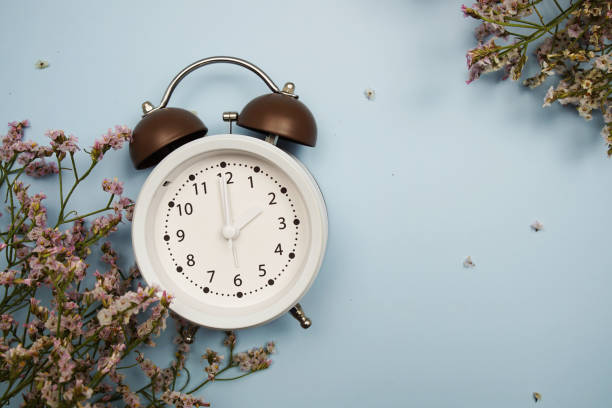 istock Alarm clock and flowers with space copy on blue background 2139789928