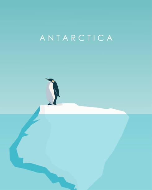 ilustrações de stock, clip art, desenhos animados e ícones de antarctica travel poster, banner, card - iceberg banner animal bird