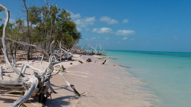 Cuba Cayo Jutias beach