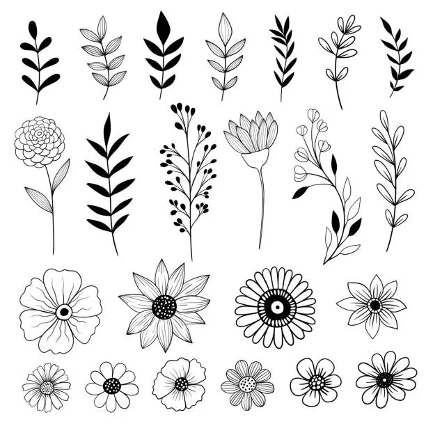 Vector illustration of collection of hand drawn flowers, leaves and branches