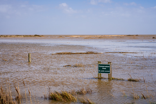 Sign: Conservation area, no public access, on flooded land near Bradwell Beach, Essex, England, UK
