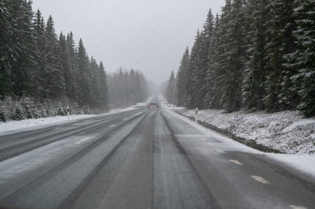 istock Straight road through forest covered in snow 2139927212