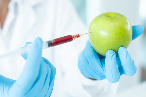 Scientist check chemical food residues in laboratory. Control experts inspect quality of fruit, scientists inject chemicals into apples for experiments, hazards, prohibited substance, contaminate