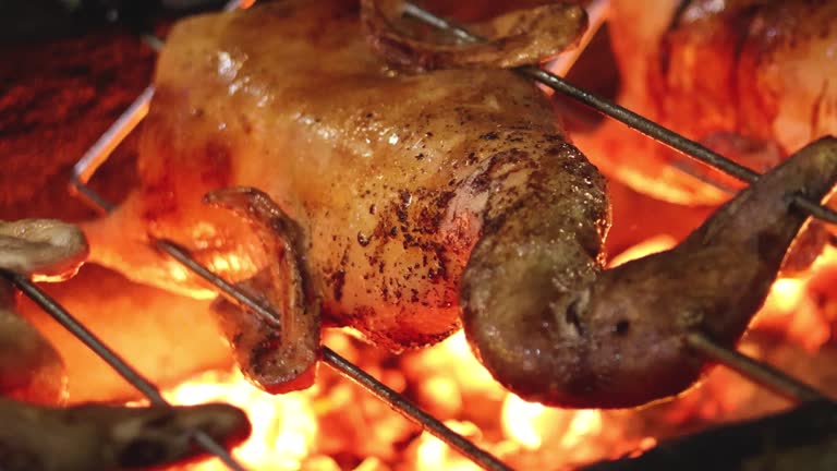 Rotisserie Duck Cooking Over Flames