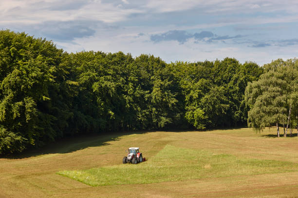 istock Tractor mowing grass. Meadow sorrounded by forest. Agriculture industry 2140094494