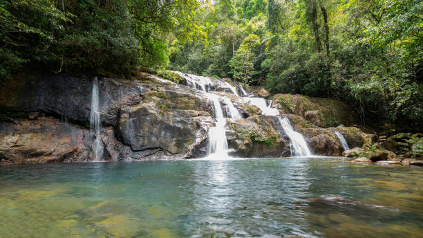istock Beautiful waterfall in the green forest 2140096668