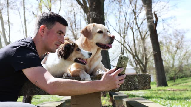A man taking a selfie in the park with his beautiful Border Collie and golden retriever.