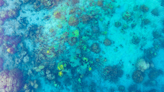 Top view. Summer sea water, blue surface. The water is clear with ripples and sparkles in the sunlight and you can see coral under the sea.