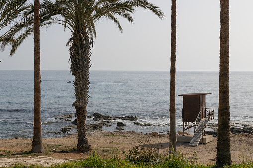 Lifeguard tower on a rocky shoreline framed by palm trees, overlooking a calm sea.